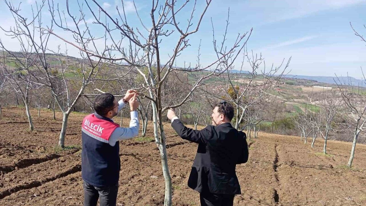 Bilecik’te don afeti sonrası hasar tespit çalışmaları devam ediyor
