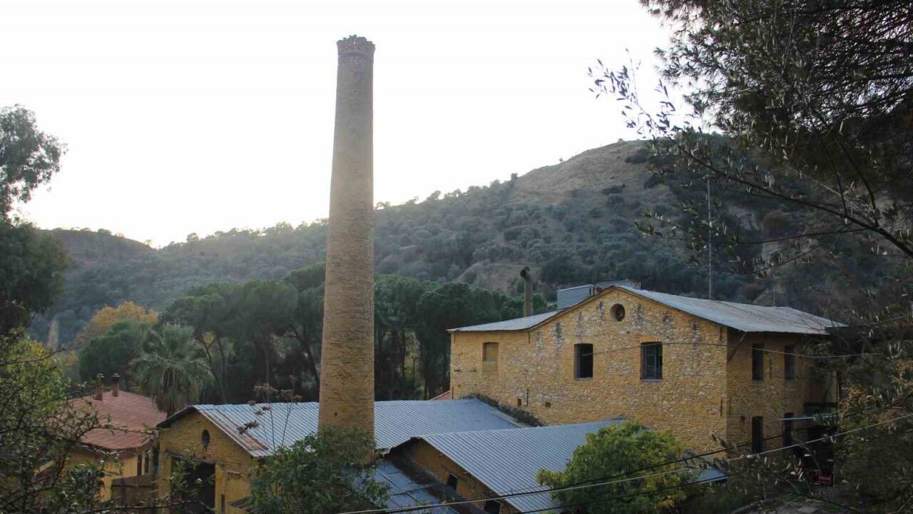 Bir asırdır ayakta