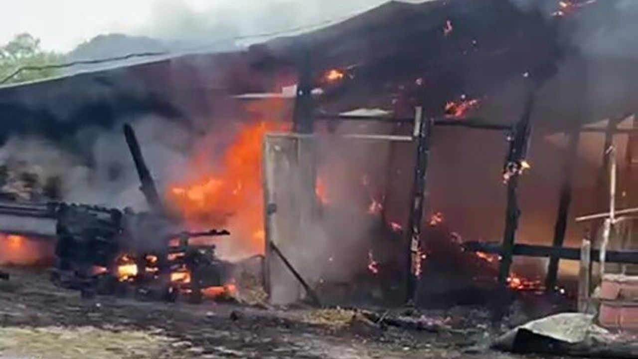 Elektrik kontağından çıkan yangın samanlığı küle çevirdi