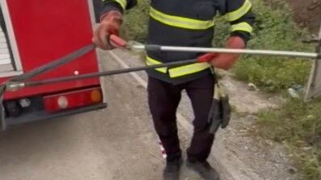 Osmaniye’de elektrik panosuna giren yılanı itfaiye çıkardı