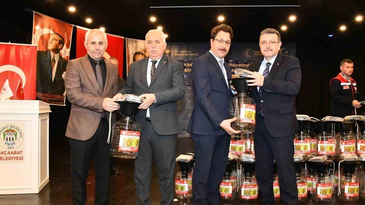 Trabzon’da kahverengi kokarca için seferberlik çağrısı