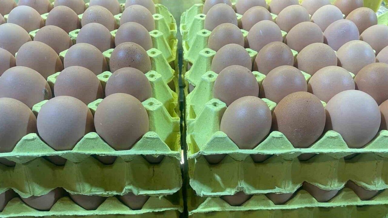Yumurta fiyatları "mayıs çukuru" yaklaşınca düşüşe geçti