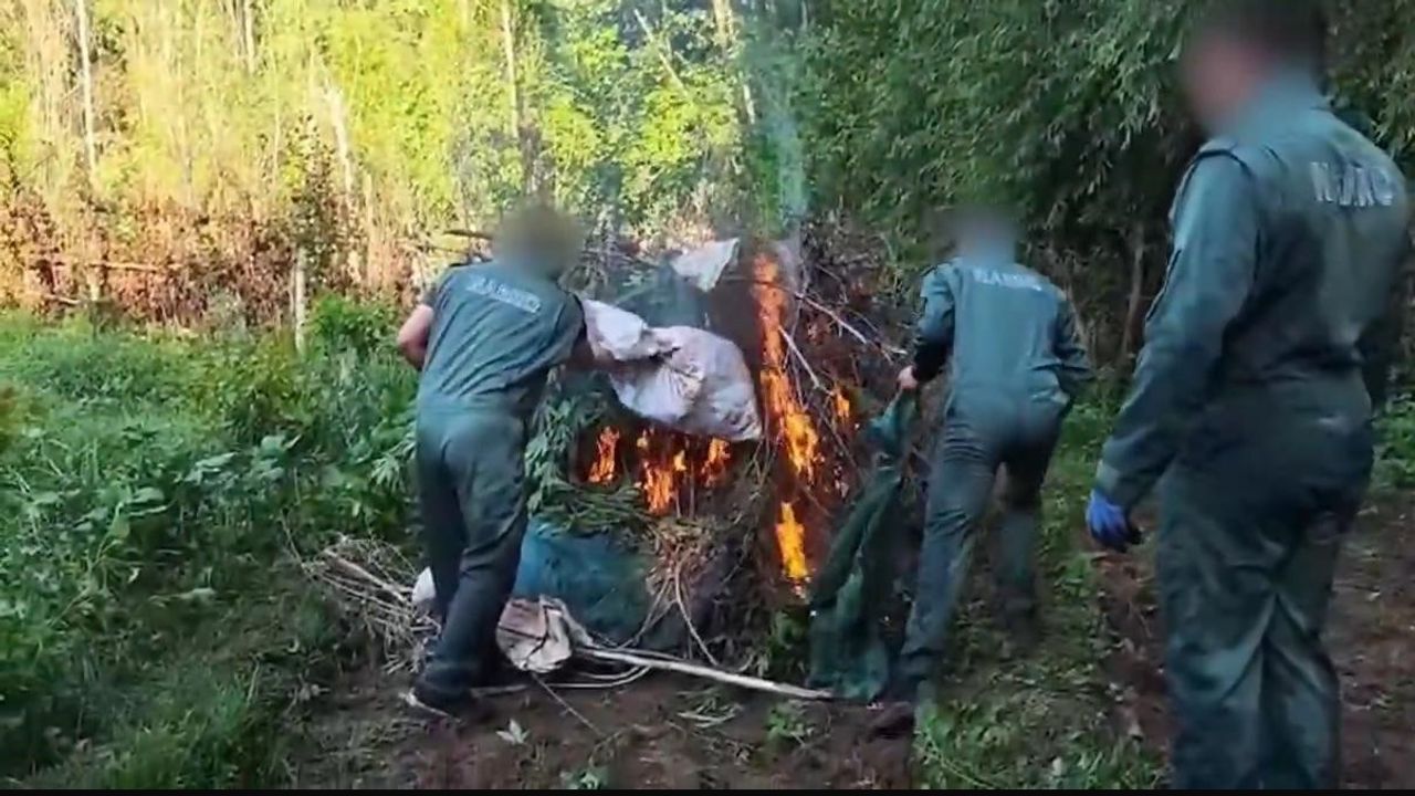 UNESCO Dünya Kültür Mirası Listesi’nde yer alan Hevsel Bahçeleri’nde 2 milyar TL değerinde uyuşturucu madde ele geçirildi