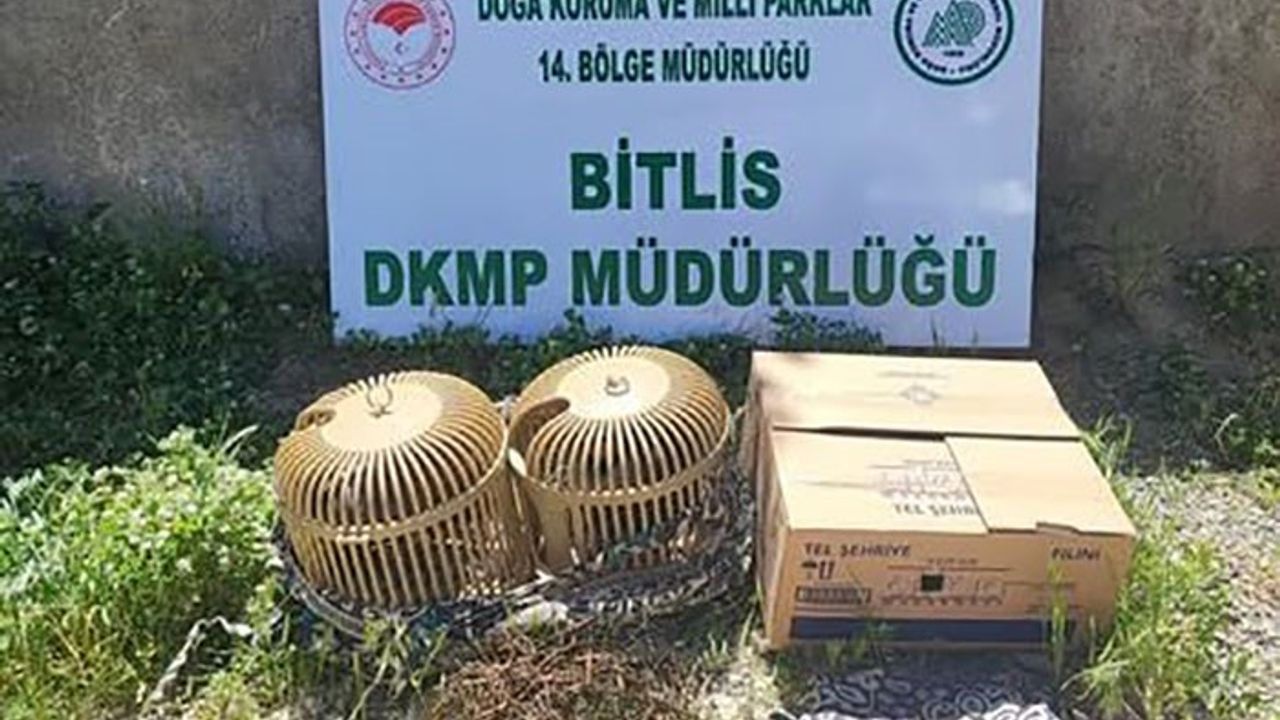 Bitlis’te kaçak keklik aylayan kişiye 63 bin TL idari para cezası uygulanacak