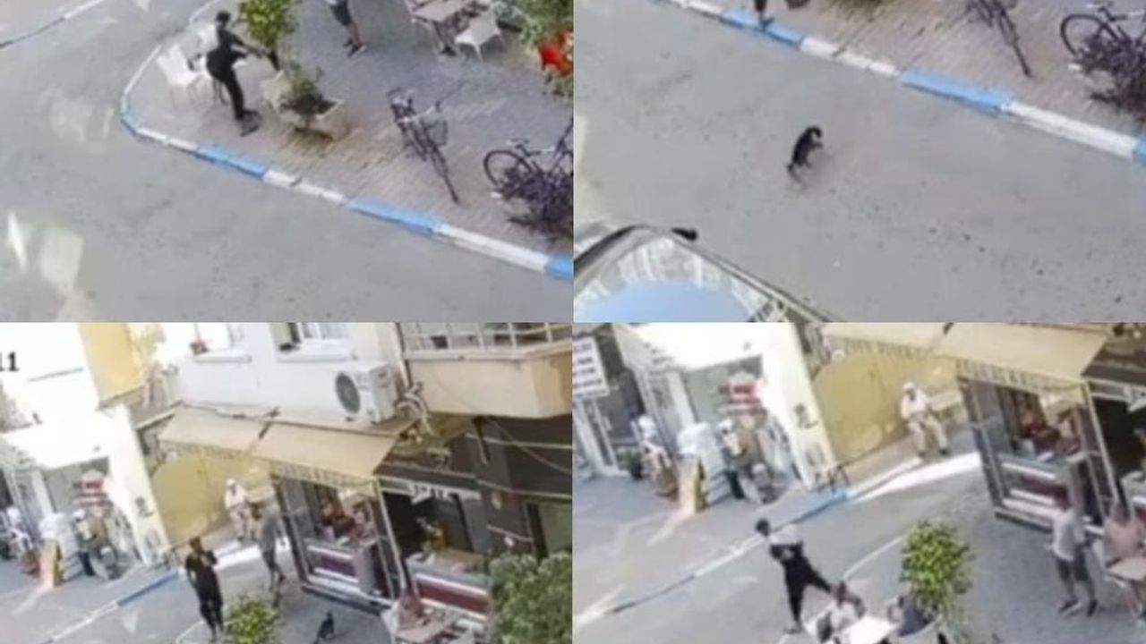 Mersin'de Kediyi Tekmeleyen Saldırgan Cezaevine Girdi