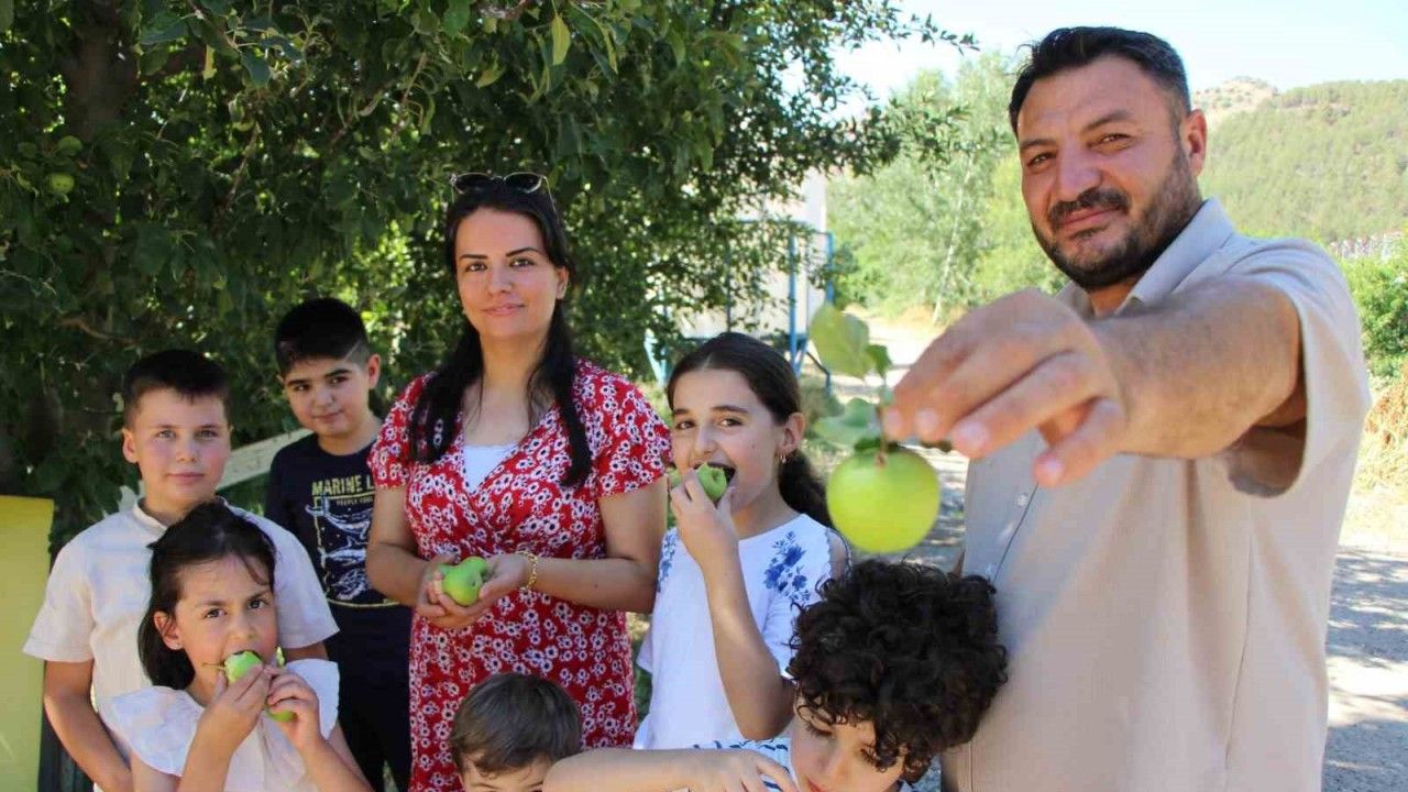 Don felaketinden korunan elmaları satmayıp bahçesine gelenlere ikram ediyor