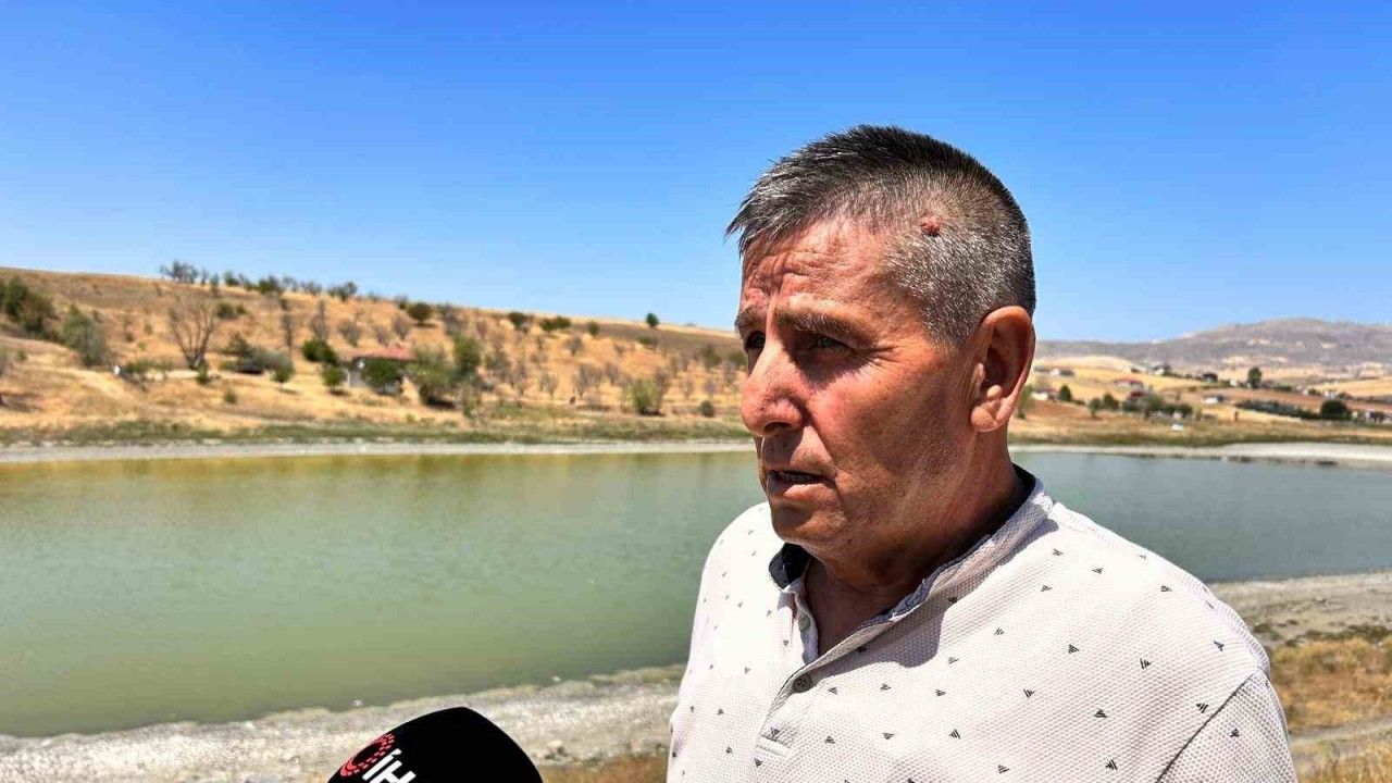 Kızılca Göleti’nde 2’nci yılın acı tablosu: Çürüyen balıklar ve kötü kokan su yatağı