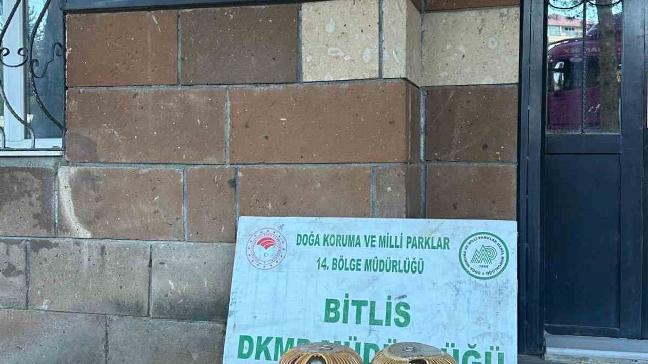 Bitlis’te kaçak keklik avına 101 bin 710 lira para cezası