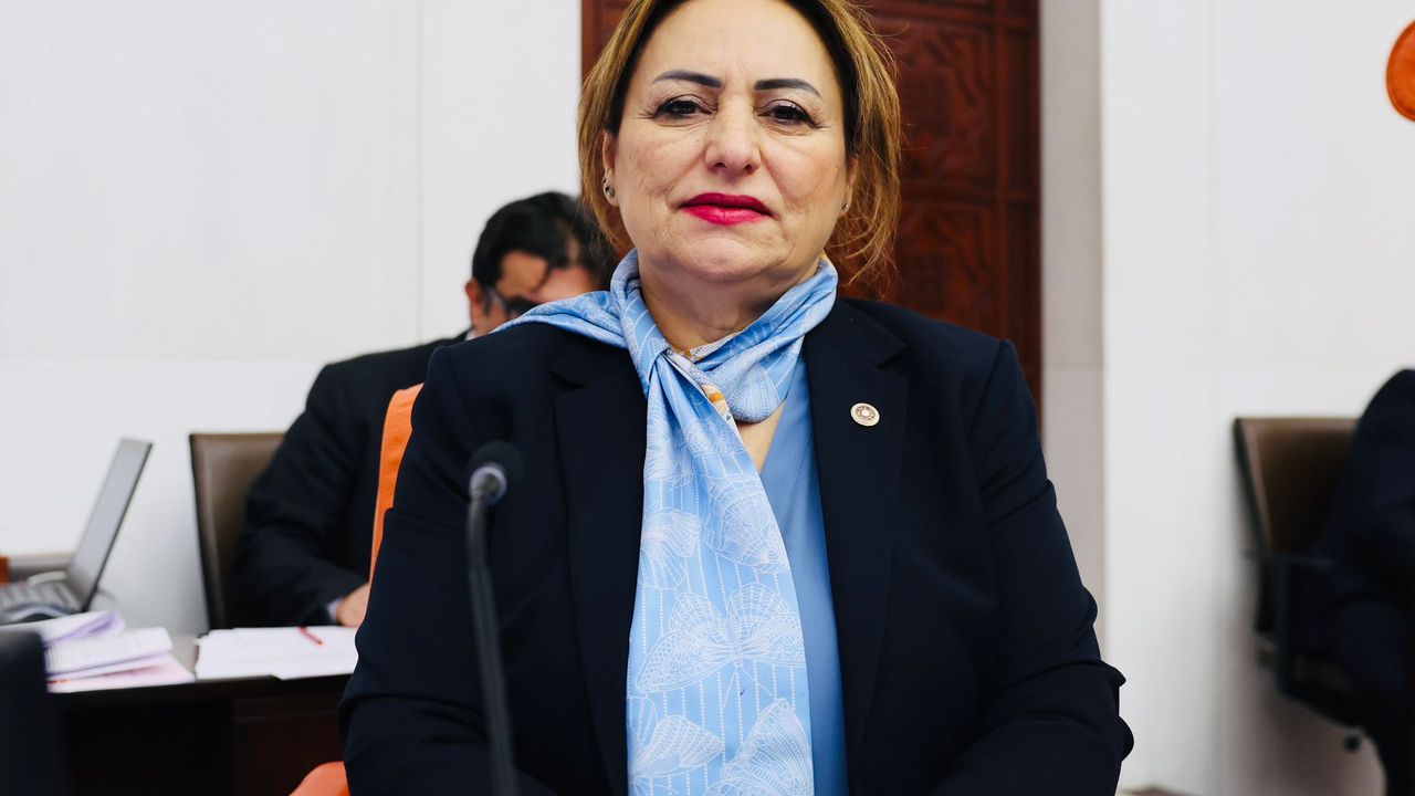 Şevkin: Asgari ücret açlık sınırının altında