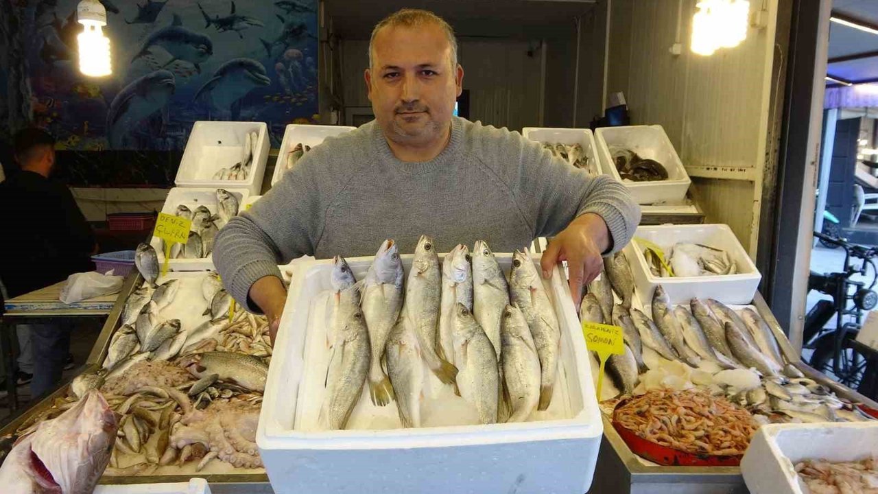 Akdeniz'de av yasağı başlıyor