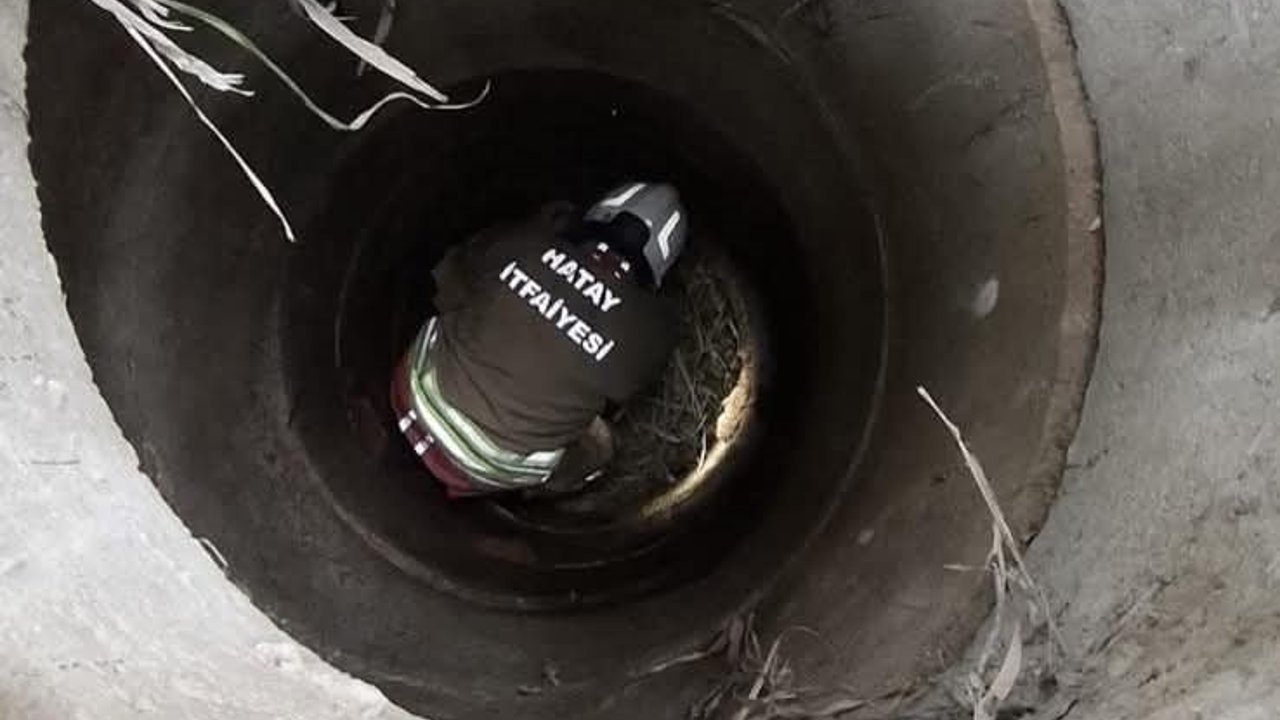 Antakya'da kuyuya düşen köpeği itfaiye kurtardı