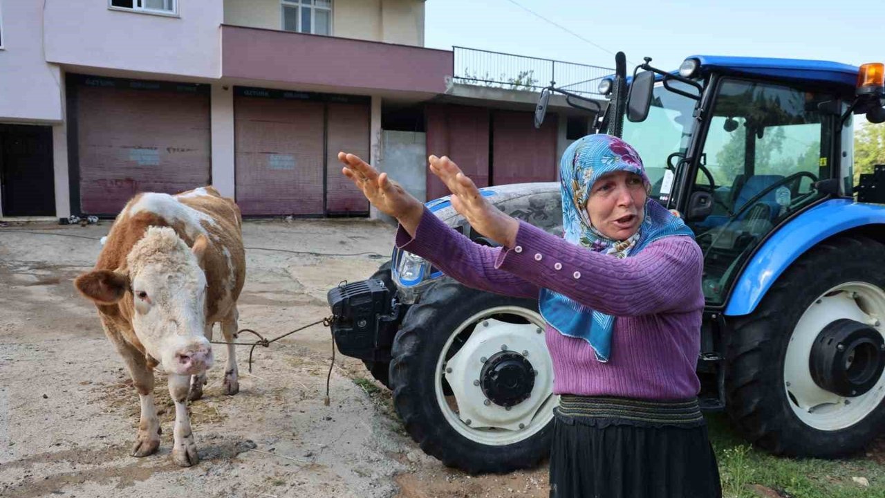 Kozan'daki selde hayvanları telef olan kadın: 'Bir anda sel geldi, ahırın üstünü aştı'