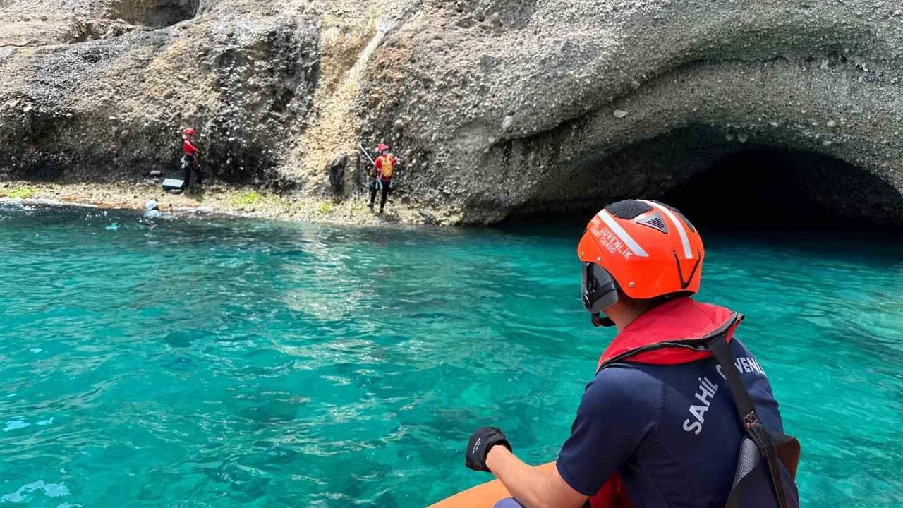 Antalya'da Akdeniz foklarının yeni yaşam alanı keşfedilip koruma altına alındı