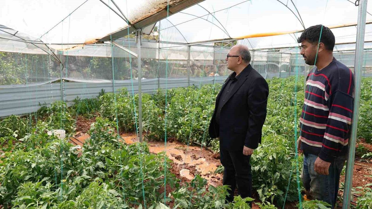 Mersin'de dolu, sebze tarlaları ve meyve bahçelerine zarar verdi