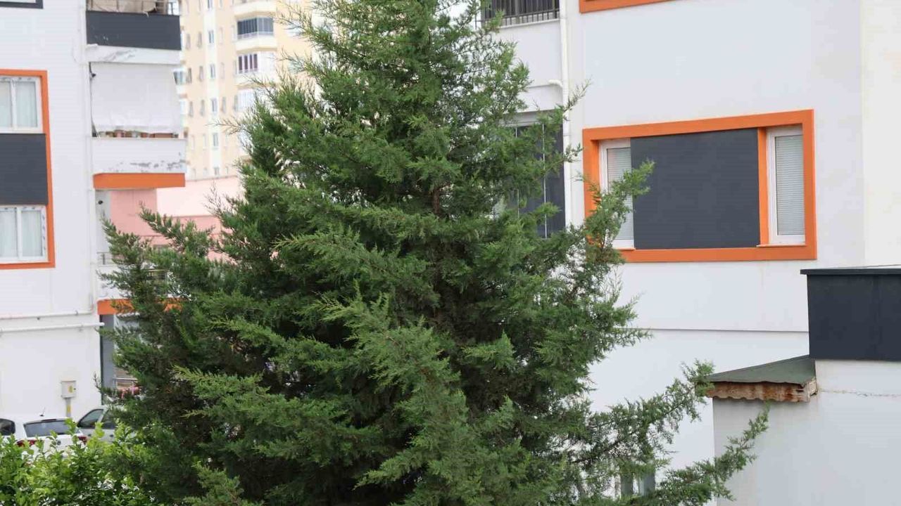 Adana'nın kuzey ilçelerinde kuvvetli rüzgar etkili oldu