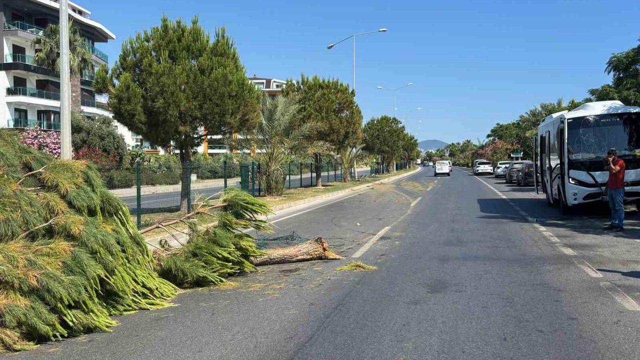 Alanya'da alkollü sürücünün kullandığı midibüs refüjü aşıp karşı şeride geçti