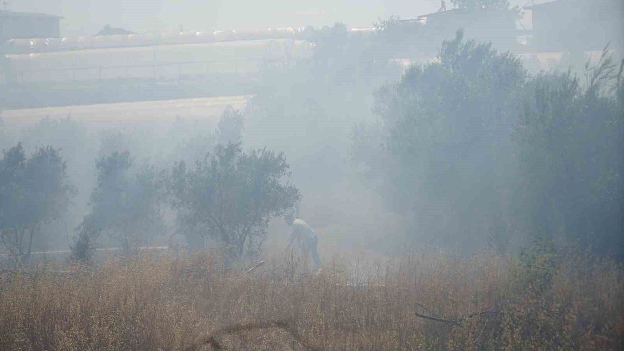 Antalya'da sera ve evleri tehdit eden yangın mahalleliyi korkuttu