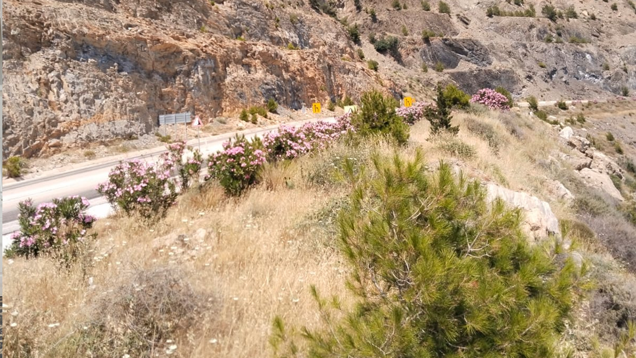 Mersin-Antalya Yolunda Yangın Riski İçin Temizlik Çağrısı