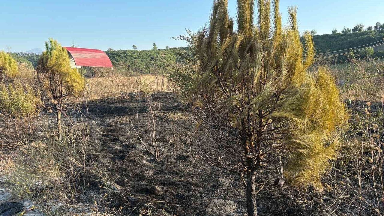 Osmaniye'de mesire alanından çıkan yangın söndürüldü