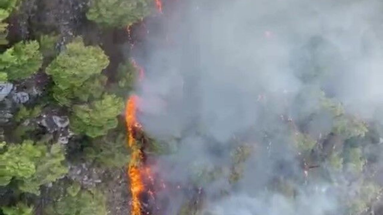 Antalya'da orman yangını