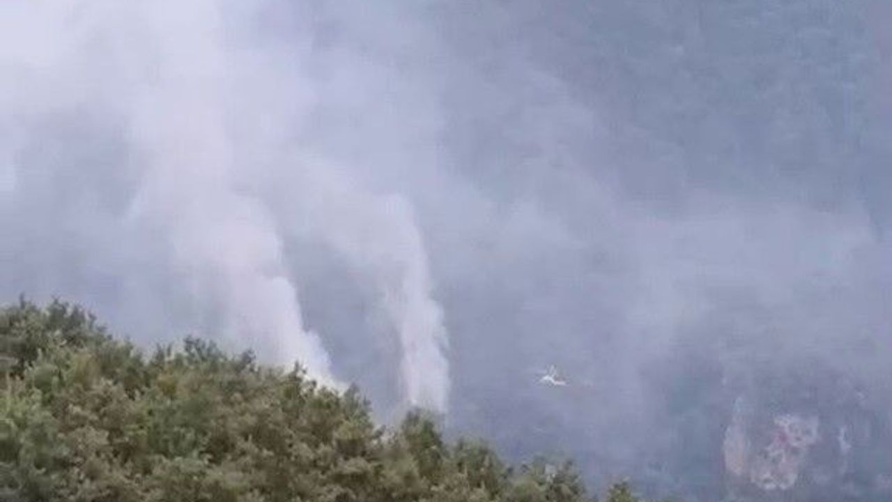 Hatay'daki orman yangınının enerjisi düşürüldü