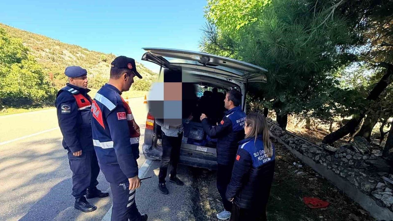 Eğirdir'de yol denetiminde 50 kilo gümüşi havuz balığı ele geçirildi