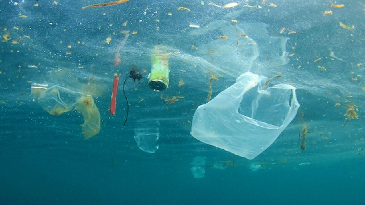 Okyanusların tabanında 14 milyon tondan fazla mikroplastik birikti