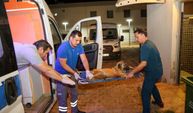 Alevlerin Arasında Bir Mucize: 105 Can Böyle Kurtarıldı!