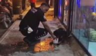 Vurulan Sokak Köpeğine Emniyet Eli Uzandı!
