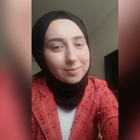 Seda Nur ISSIZ