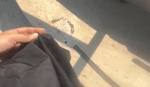 Havuza tesettürlü mayo yasağında 1 gözaltı