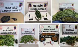 Mersin’de uyuşturucu ot yetiştirenlere operasyonu