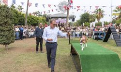 ‘Mersin Pati Festivali’nde Seçer'den köpek gösterisi