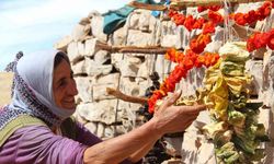 Kahramanmaraş’ta sebzeler kurutulup kışa hazırlanıyor