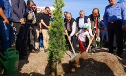 Vali Pehlivan fidanları toprakla buluşturdu