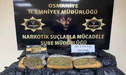 Osmaniye’de 48 kilo sentetik uyuşturucu ele geçirildi