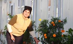Kadın eli değen konteyner kent sokakları yeşile büründü