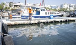 Mersin'de denizden çıkan bir ton atığın 800 tonu plastik!