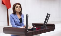 CHP Milletvekili Kış, “Olası Bir Depremde, Türkiye’yi Büyük Tehlikeler Bekliyor”