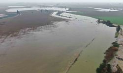 Aşırı yağışla birlikte taşan Asi Nehri tarım arazilerini su altında bıraktı