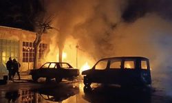 Sanayi sitesindeki yangında iş yeri ve iki otomobil kül oldu