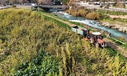Tarsus Belediyesi üreticilere 50 ton silajlık mısır dağıtacak