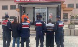 Alanya'da Avokado Hırsızları Yakalandı
