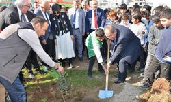 Mersin’de okul bahçelerine 600 zeytin fidanı dikildi