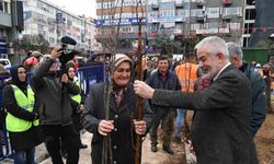 Isparta Belediyes, 32 bin adet ücretsiz meyve fidanı dağıtacak