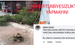 Mezitli Bağımsız Aday Tarhan'ın seçim ofisi önündeki ağacı kestiler!