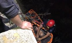 15 metrelik uçurumdan uçtular, hayatlarını ağaç kurtardı