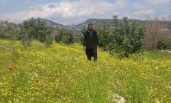 Mersin'de Baharın Güzel Görüntüsü
