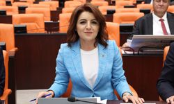 CHP Mersin Milletvekili Gülcan Kış'tan 1 Mayıs Mesajı