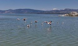 Burdur Gölü’nü besleyen yer altı su kaynakları su kuşlarına ev sahipliği yapıyor